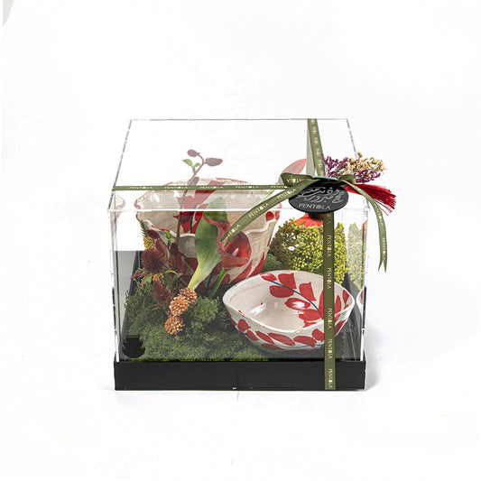 Crimson Canopy Set (Gifts/Neqsa)