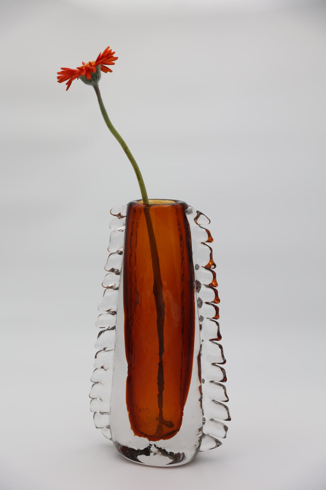 Amber Grove Ridge (Large)